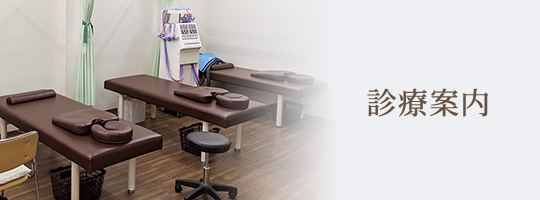 診療案内